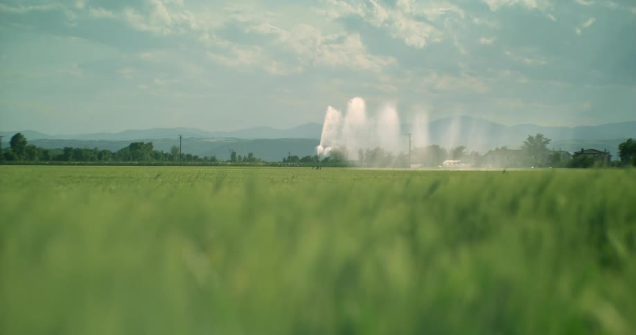 A sprinkler sends up a jet of water across a green field