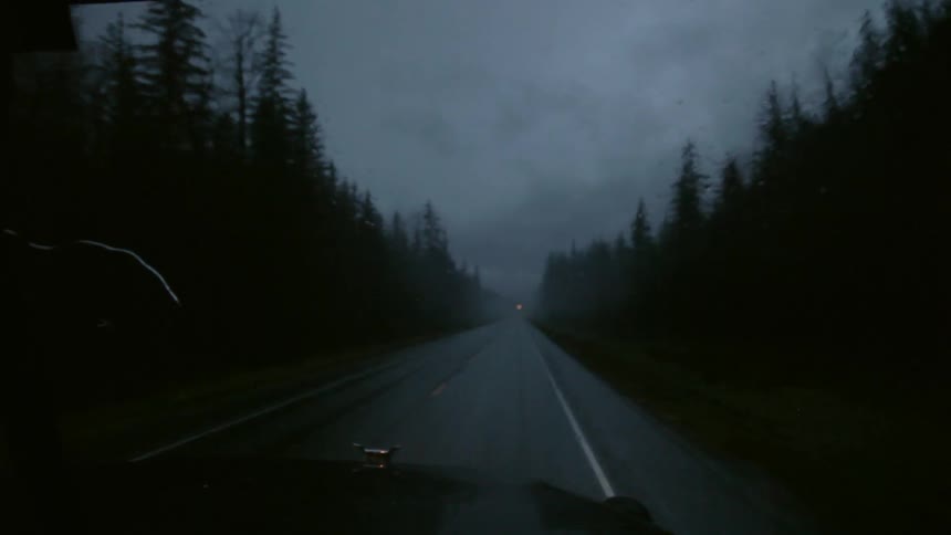 A truck drives down a wooded road