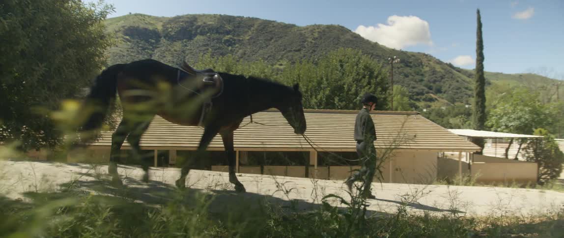 A person walks their horse on the ranch