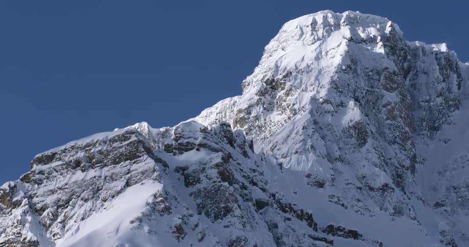 A snow-covered mountain looms in the distance