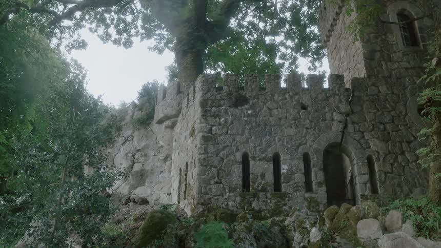 A stone castle in a forest