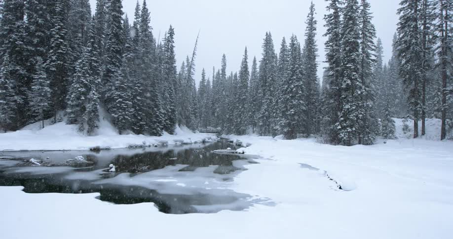Snow falls over a river in an evergreen forest