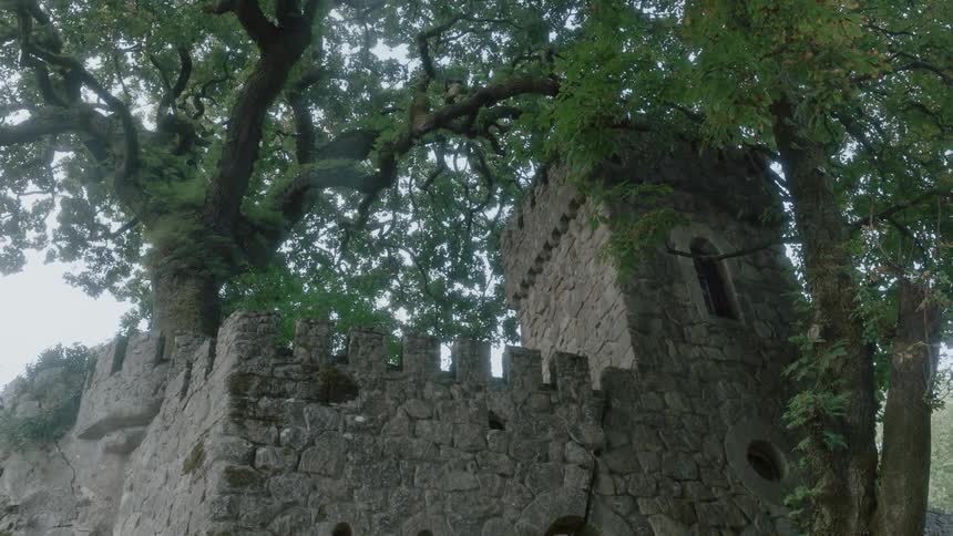 A stone castle in the forest