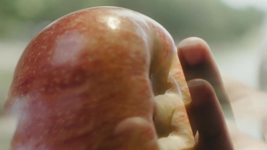 Sunlight shines upon an apple someone is holding