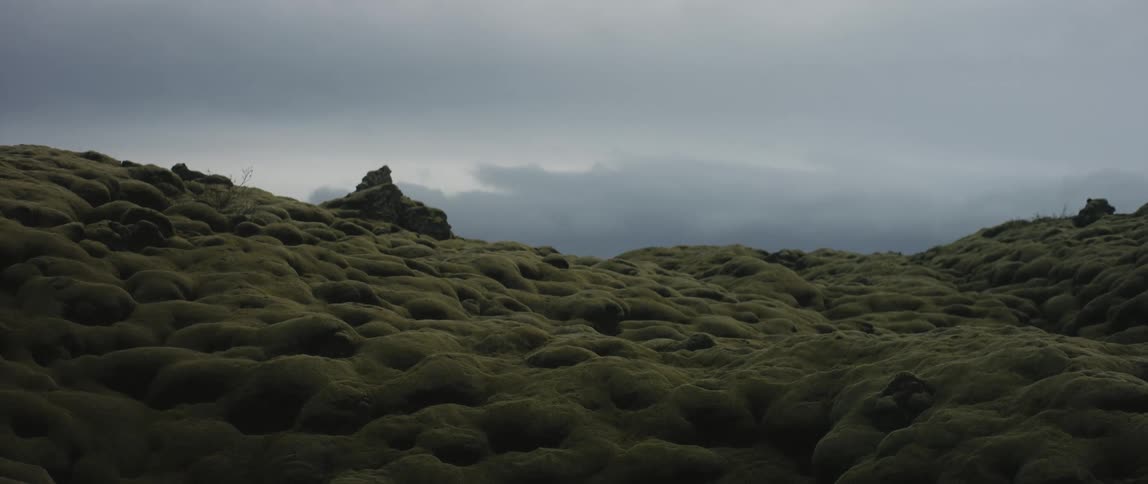View of grassy hills are displayed in spring
