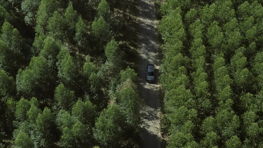 Aerial view of a car driving through a wooded area
