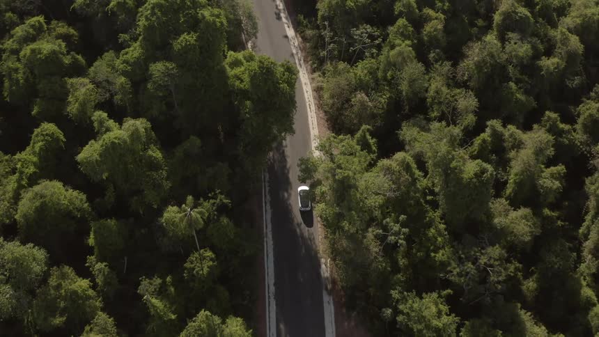 A white truck traveling on a rural road between trees