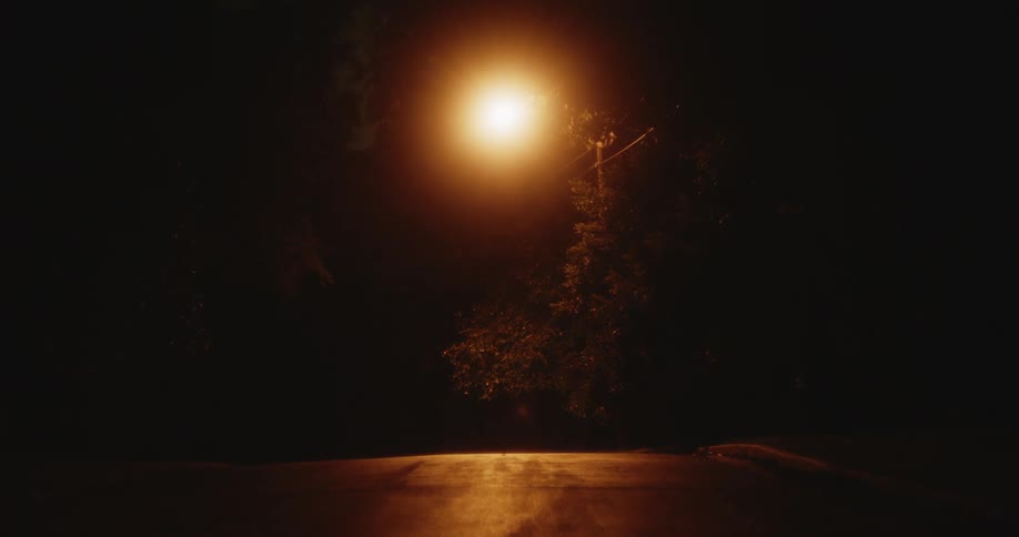 A street light shines near a tree on a quiet street at night