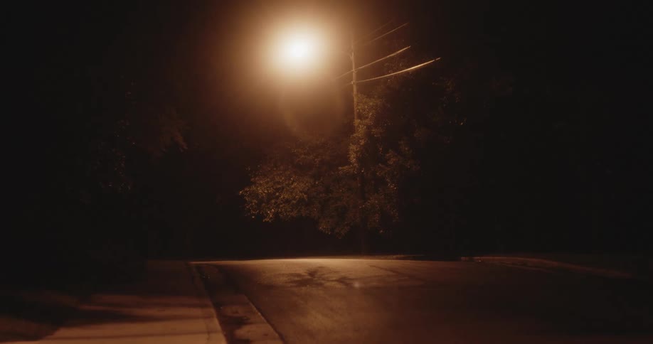 A street light shines near a tree on a quiet street at night
