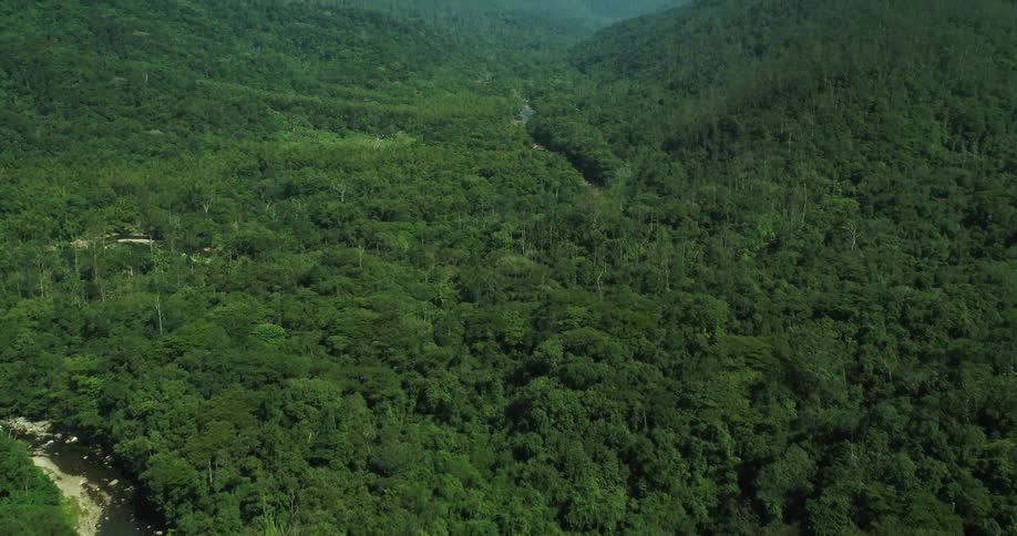 River winds through thick forest and toward misty valley on horizon