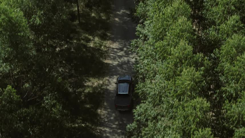 A vehicle drives down a dirt road through the woods