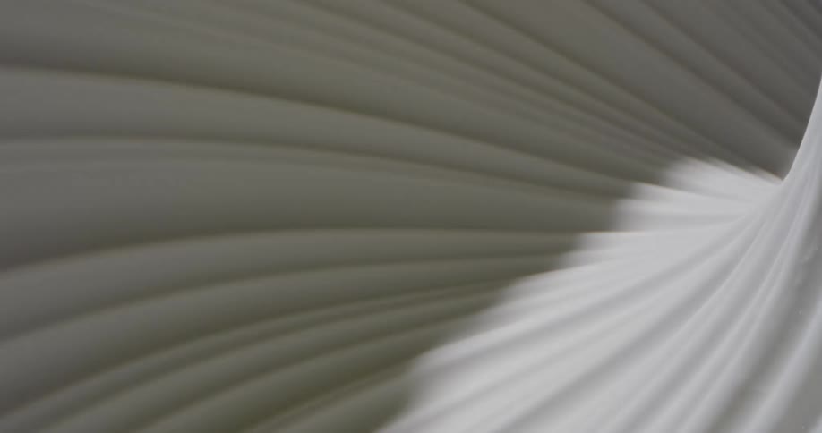 Light shines on a white swirling substance and creates shadows in the grooves