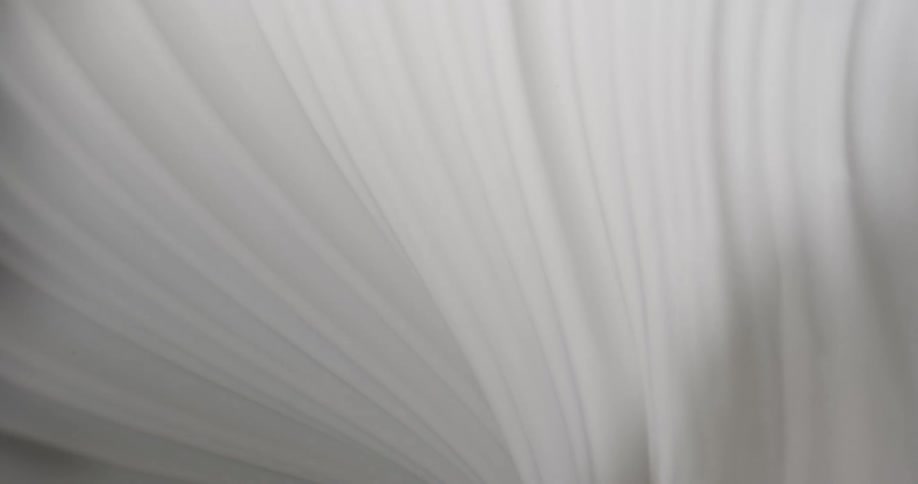 A view of white fabric