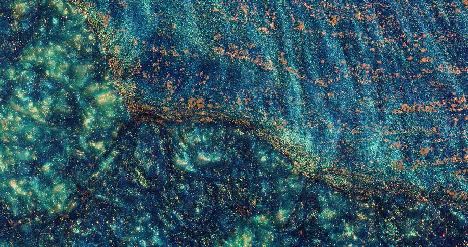 A turquoise surface with orange scattered dots moves across a rippling organic living environment