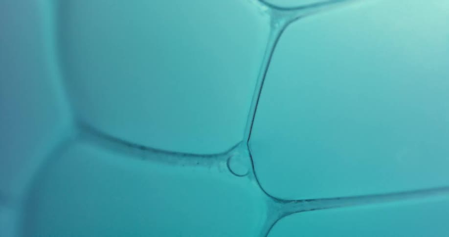 Small soap bubbles flow between large soap bubbles