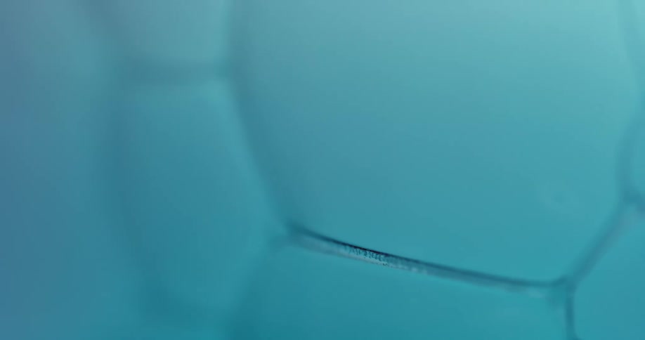 The bubbles are covered in water