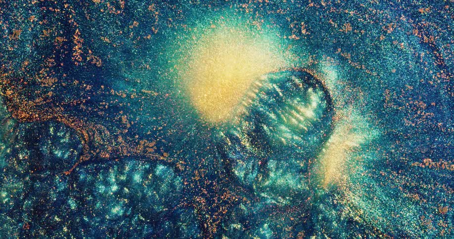 A glittery blue and orange substance ripples and sparkles as an orb grows and yellow shapes erupt from inside as the outside circle shrinks and covers the yellow