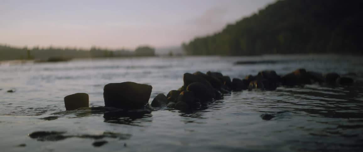 River water ripples as it flows around rocks near the shore with a forest along the coast