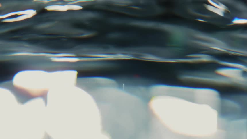The surface of rippling water