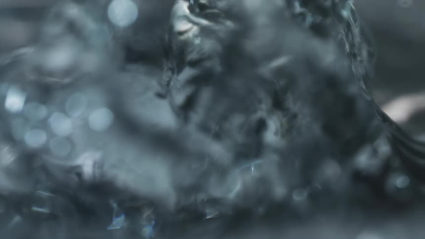 A view of water drops