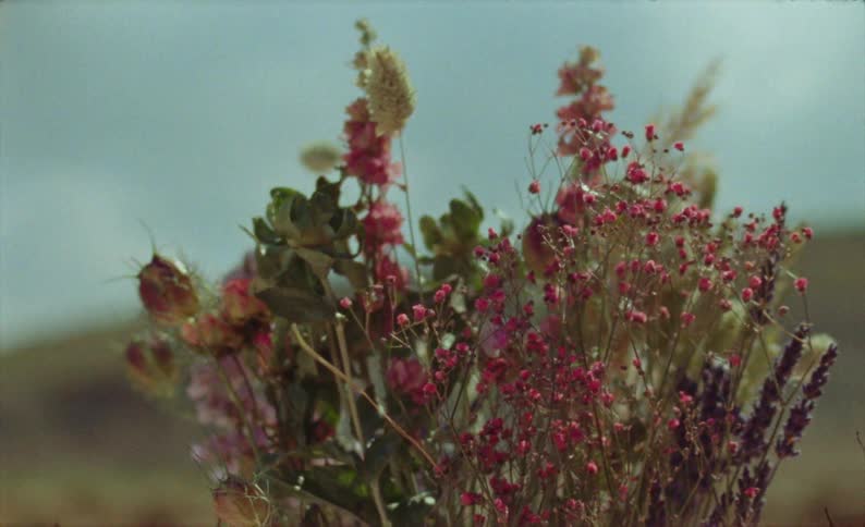 A wildflower bouquet outside near a ridge on a sunny day