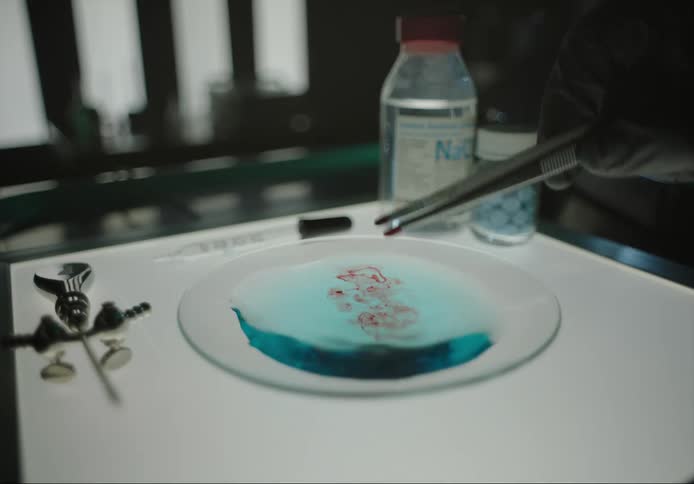 Scientist mixes red fluid on tweezer into blue chemical in a small shallow dish