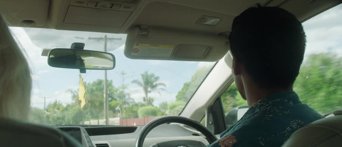 Blonde woman rubs male drivers hair as he drives car through neighborhood of houses