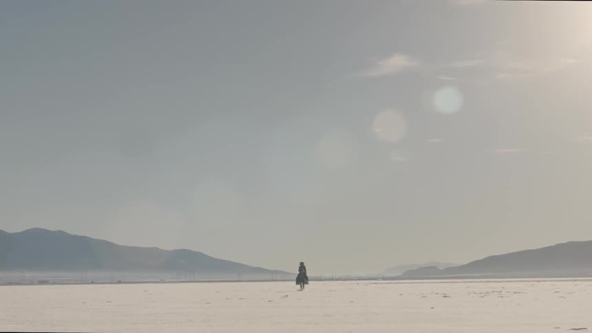 A person rides a horse across the desert