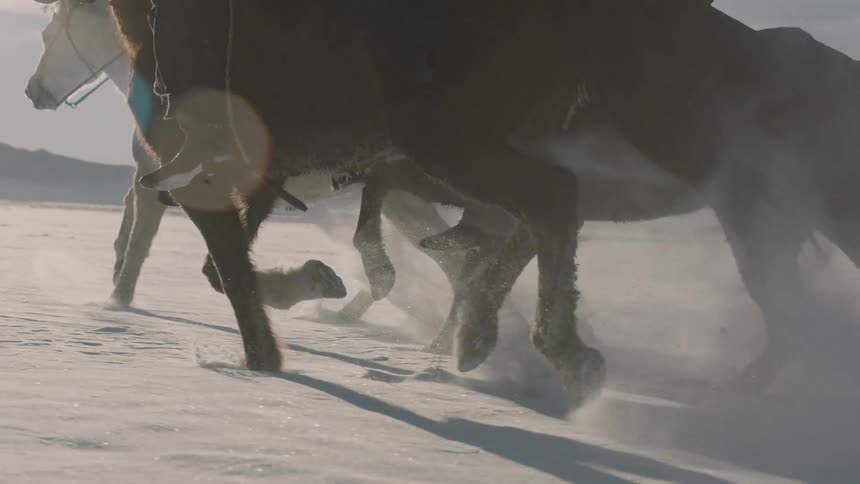 People riding horses across a snow covered pasture