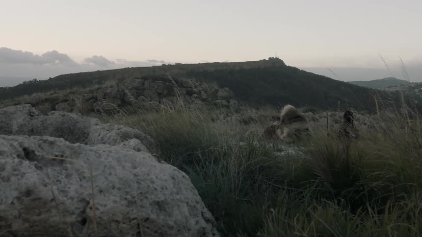 People are hiking on a hill on a windy day