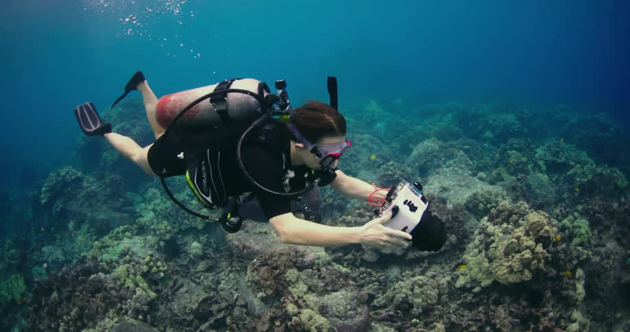 A diver records video of coral reef on the ocean floor