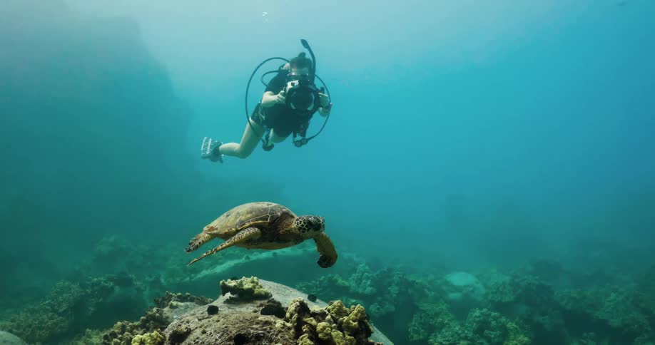A scuba diver photographing a swimming sea turtle