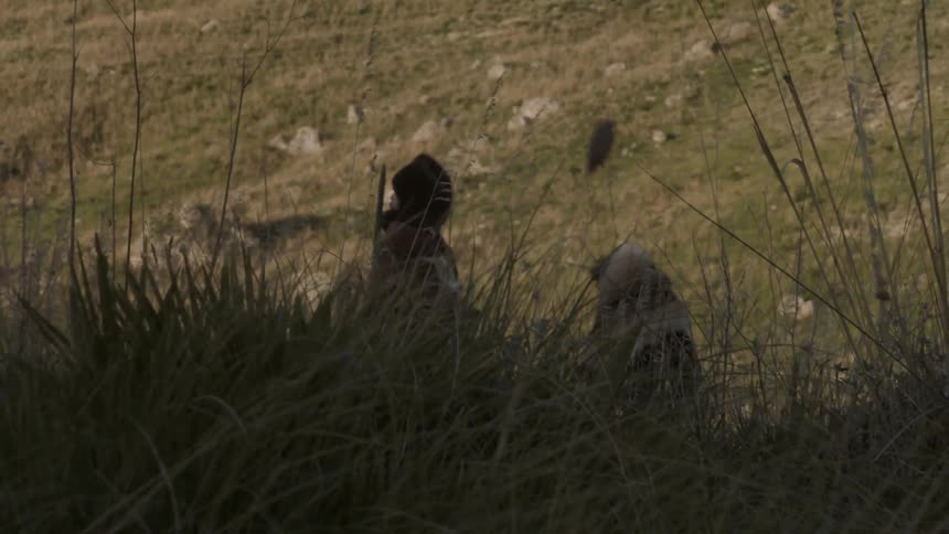 People are standing in the grass by a hill