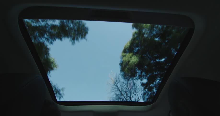 Trees can be seen through the sunroof