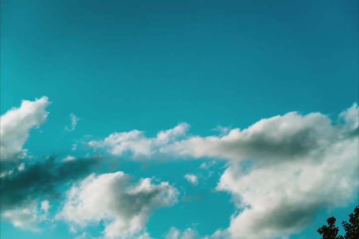 Time lapse of white clouds on a blue sky passing over the top of trees