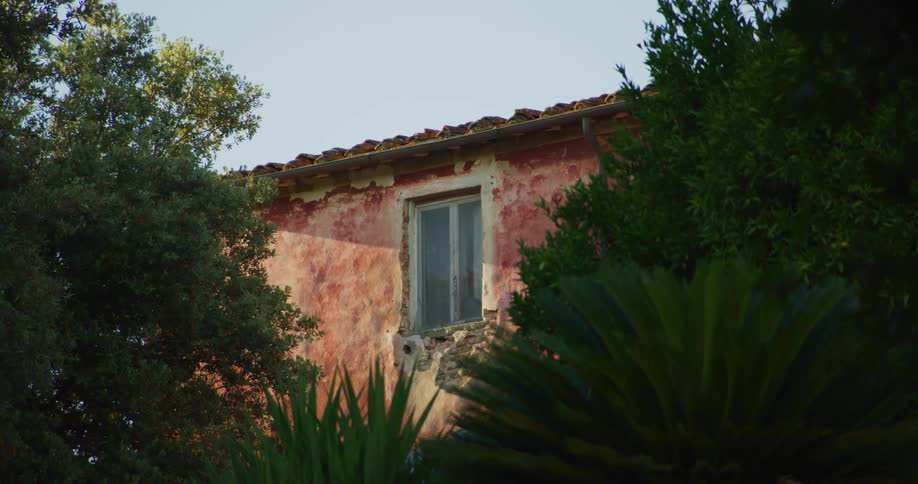 Flowers grow between tall trees outside a home