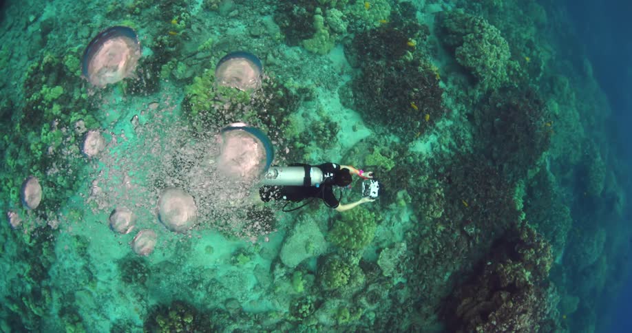 Camera slowly turns while tracking a diver underwater