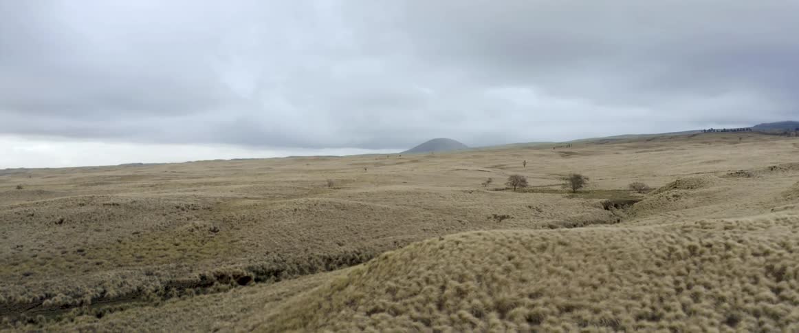 Tire marks run through the desert