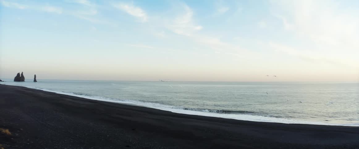 Seagulls flying over a beach at dawn