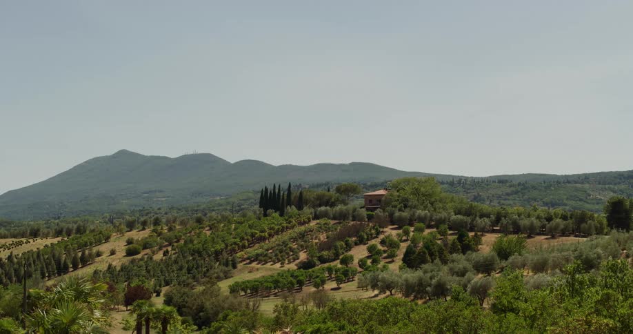 A single home is in the middle of the long field