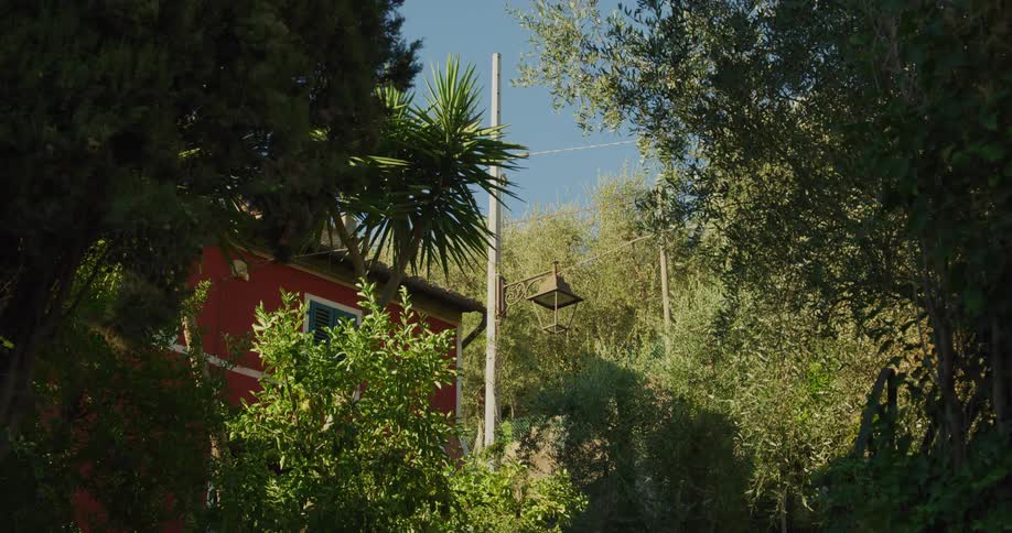 Overgrown land next to red house