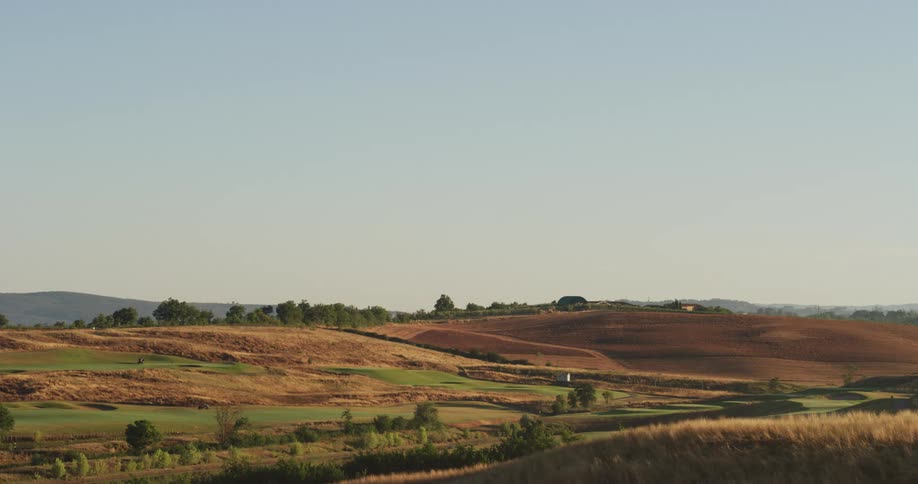 Yellow and green fields in nature