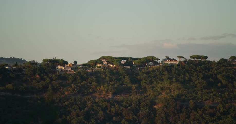 Houses sitting on a hill