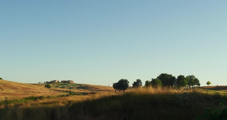Still shot of trees over low grasslands