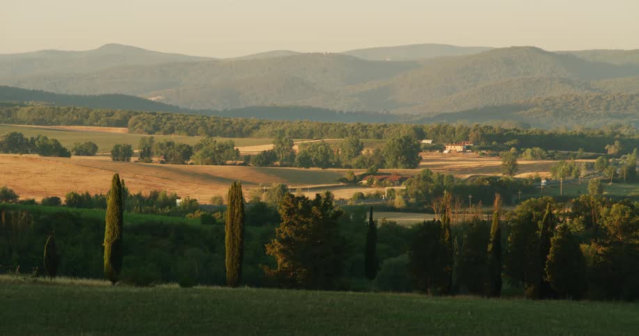 Bushes and trees on grass fields with mountains and hills on the horizon