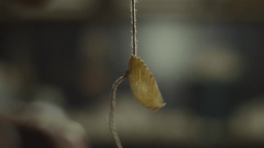 A man picks up a string with a shell on it