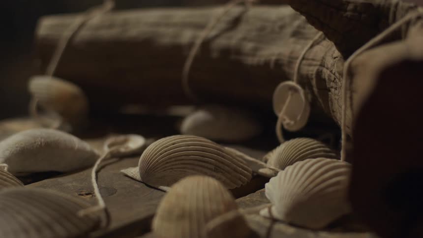 Seashells threaded by string resting on the wooden floor under shifting lights and shadows
