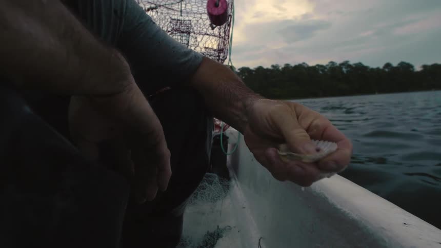Man crouched in boat examines clam shell with woods in the background