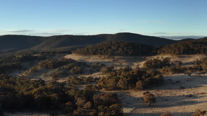 Forest covers mountains and hills and trees are scattered throughout flat areas