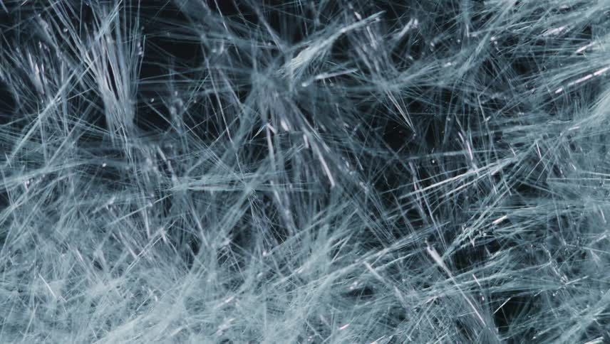 Thin white threads grow against dark background